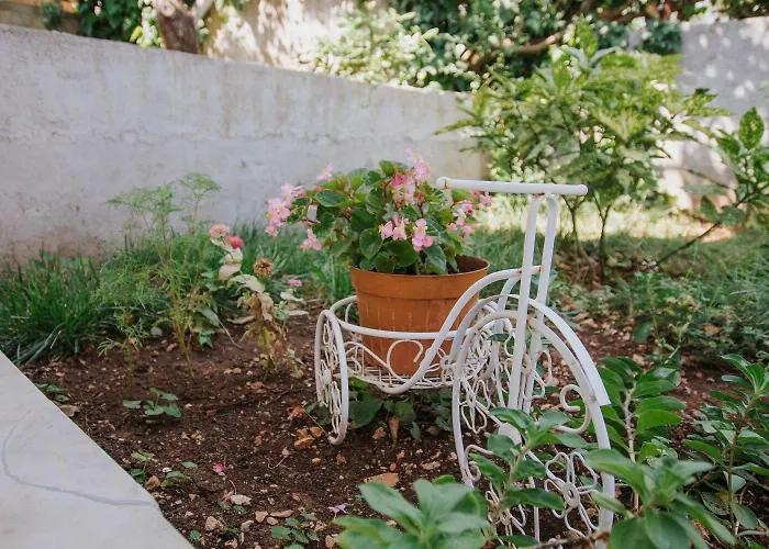 Apartman Dome Trogir