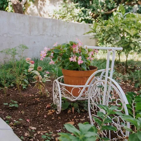 Apartman Dome Trogir